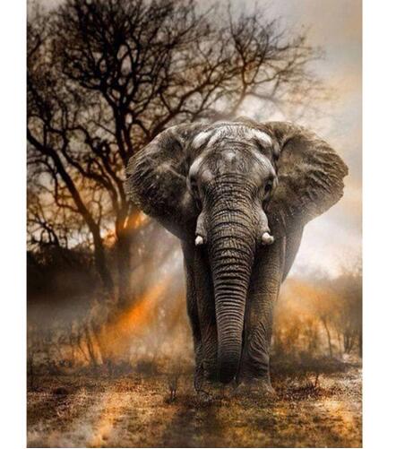 Elephant Diamond Painting Cross Stitch DIY